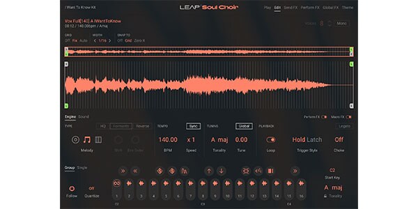 Native Instruments / Leap Expansion - Soul Choir Download Delivery画像2