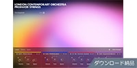 Native Instruments / LCO Producer Strings ダウンロード納品