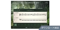 Native Instruments / Action Woodwinds ダウンロード納品版