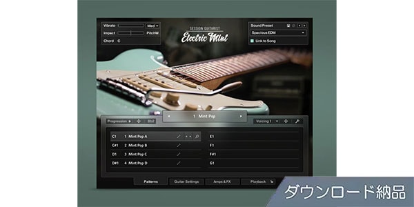 Native Instruments ( ネイティブインストゥルメンツ )  / Session Guitarist - Electric Mint ダウンロード納品