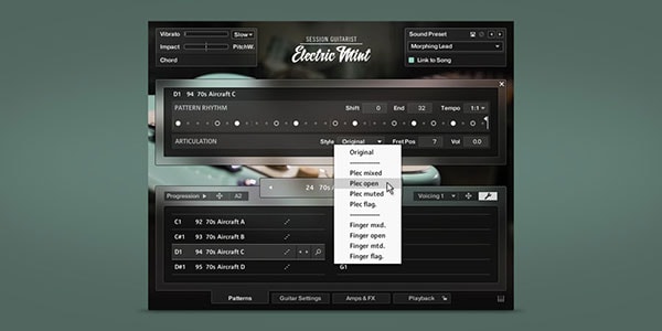 Native Instruments ( ネイティブインストゥルメンツ )  / Session Guitarist - Electric Mint ダウンロード納品画像3