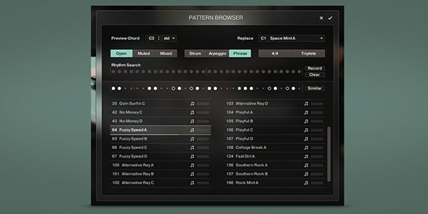 Native Instruments ( ネイティブインストゥルメンツ )  / Session Guitarist - Electric Mint ダウンロード納品画像5