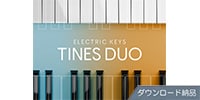 Native Instruments / Electric Keys - Timber Duo ダウンロード納品