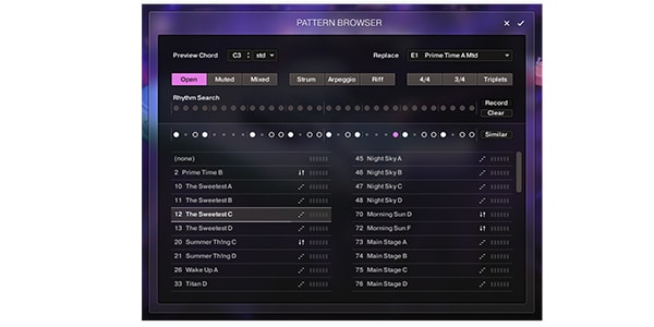 Native Instruments ( ネイティブインストゥルメンツ )  / Session Guitarist - Electric Neon Deluxe ダウンロード納品画像4
