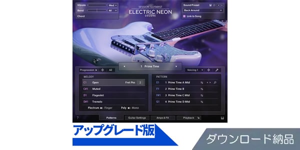 Native Instruments ( ネイティブインストゥルメンツ )  / Session Guitarist - Electric Neon Deluxe UPG DL納品