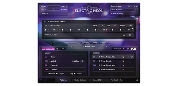 Native Instruments ( ネイティブインストゥルメンツ )  / Session Guitarist - Electric Neon Deluxe UPG DL納品画像3