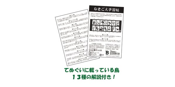 日本野鳥の会 ( ニホンヤチョウノカイ )  / てぬぐい「なきごえ手習帖」 茶画像2