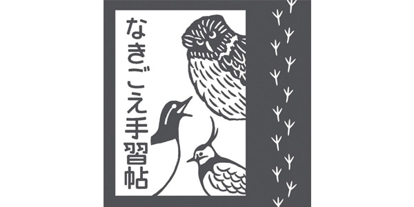 日本野鳥の会 ( ニホンヤチョウノカイ )  / てぬぐい「なきごえ手習帖」弐巻 桃画像2