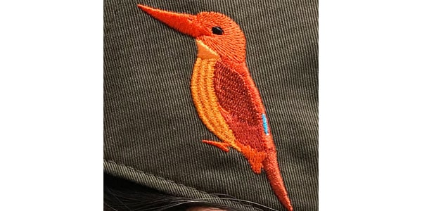 日本野鳥の会 / Original Cap Ruddy Kingfisher Khaki画像2