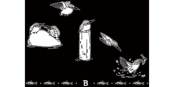日本野鳥の会 / 640019画像2