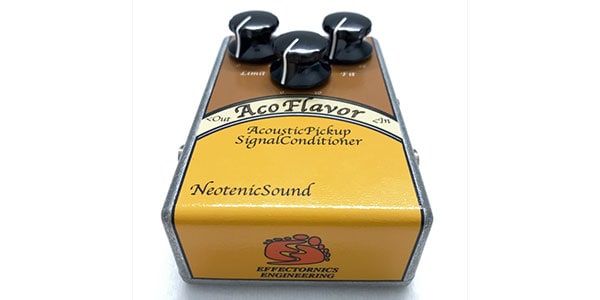 ☆決算特価商品☆ neotenic ギター sound acoflavor / ギター - www