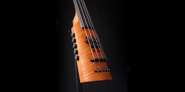 NS DESIGN / Omni Bass CR5 Fretted 画像3