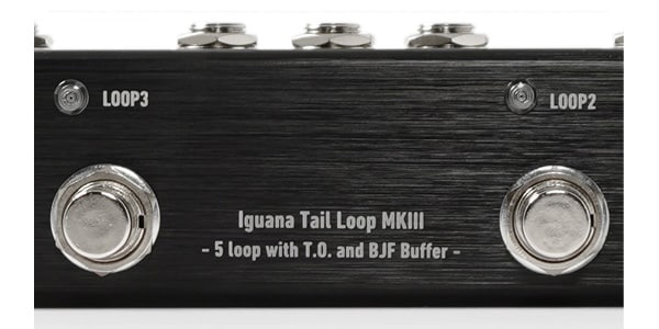 【未使用】ONE CONTROL Iguana Tail Loop MKⅢ