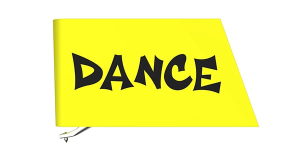 ORTOFON ( オルトフォン )  / Stylus VNL DANCE画像2