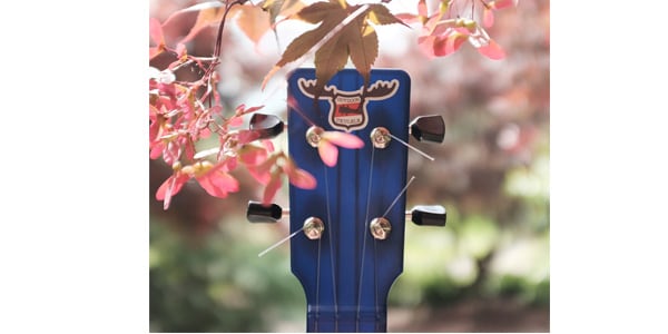 OUTDOOR UKULELE ( アウトドア ウクレレ )  / Soprano Blue Nickel　ソプラノウクレレ画像5