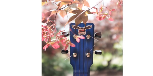 OUTDOOR UKULELE ( アウトドア ウクレレ )  / Tenor Blue Gold画像2