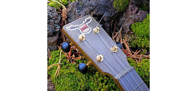 OUTDOOR UKULELE ( アウトドア ウクレレ )  / Tenor Brown Gold画像2