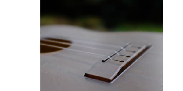OUTDOOR UKULELE ( アウトドア ウクレレ )  / Tenor Brown Gold画像4