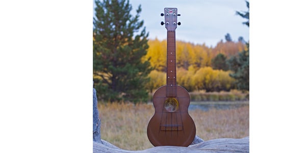 OUTDOOR UKULELE/Tenor Brown Nickel