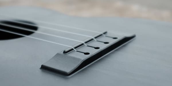 OUTDOOR UKULELE ( アウトドア ウクレレ )  / Tenor Carbon Gold画像3