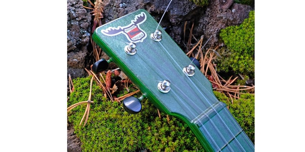 OUTDOOR UKULELE ( アウトドア ウクレレ )  / Tenor Green Nickel画像2