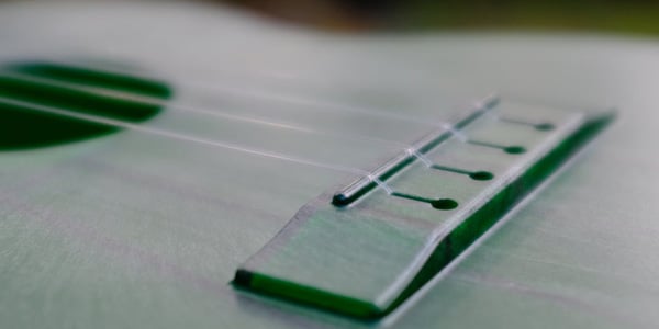 OUTDOOR UKULELE ( アウトドア ウクレレ )  / Tenor Green Nickel画像4
