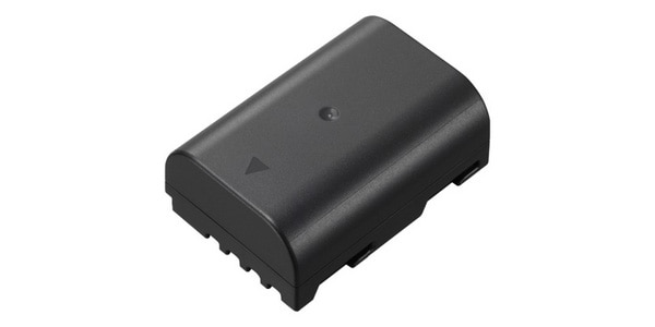 PANASONIC / DMW-BLF19