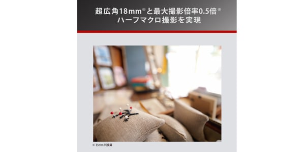 PANASONIC / H-X09 LEICA DG SUMMILUX 9mm / F1.7 ASPH. 超広角単焦点レンズ画像11
