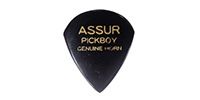 PICKBOY / GP-AS/1
