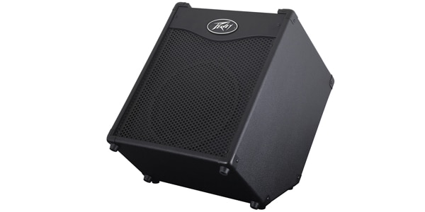 PEAVEY / MAX 110画像3