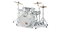 PEARL / DMP825S/C-D #229 DECADE MAPLE スタンダードサイズ