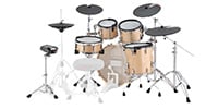 PEARL / EMPP925S/C-AOK112 e/MERGER PRO