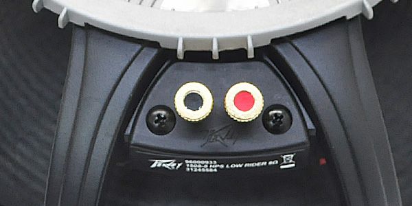 PEAVEY / 15