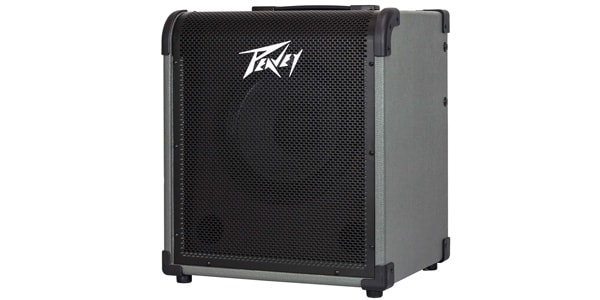 PEAVEY ( ピーヴィー )  / MAX100画像2