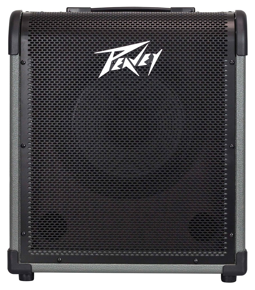 PEAVEY/MAX 100