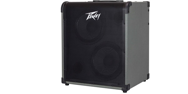 PEAVEY / MAX300画像2