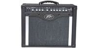 PEAVEY ENVOY 110