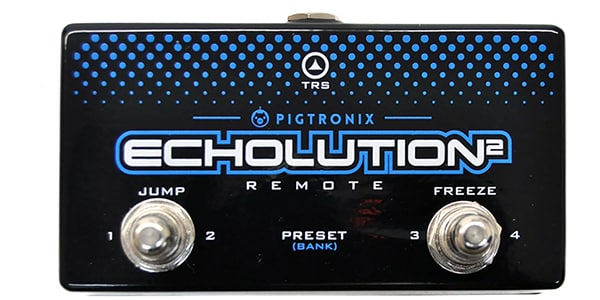 PIGTRONIX ( ピグトロニクス )  / Echolution 2 Remote画像2