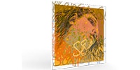 PIRASTRO / Evah Pirazzi Slap コントラバス弦  Syntheticセット 445090
