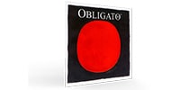 PIRASTRO Obligato 3/4-1/2 Vn弦 D シルバー巻 411341