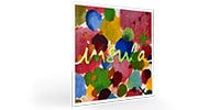 PIRASTRO / Insula Violin String Set 4/4