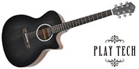 PLAYTECH / AG28C Black Burst