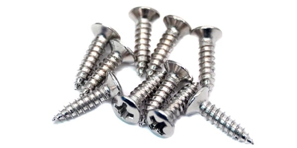 PLAYTECH / GPN210 Chrome 丸皿ネジ