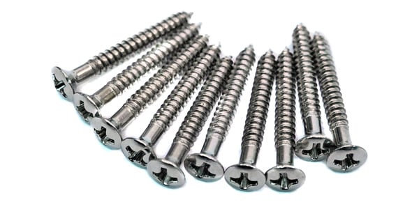 PLAYTECH / GPN250 Chrome 丸皿ネジ