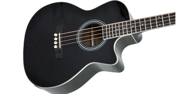 PLAYTECH ( プレイテック )  / PAB220BK画像2