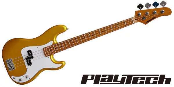 PLAYTECH / PB480 Gold