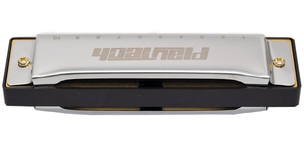 PLAYTECH / PHA-100 D key 10 holes harmonica画像2