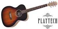 PLAYTECH / PS18 Sunburst OMタイプ