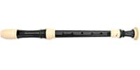 PLAYTECH / PTRA200 Alto recorder