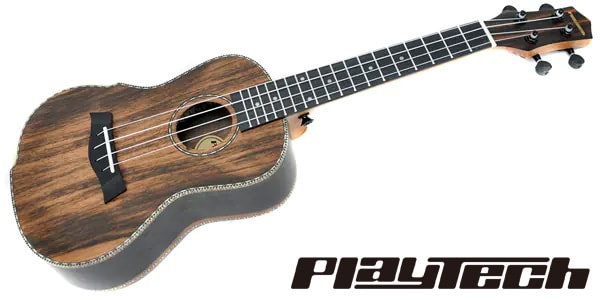 PLAYTECH / AU99AM-23